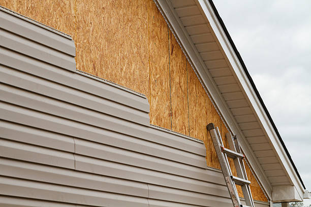 Best Vinyl Siding Installation  in Apex, NC